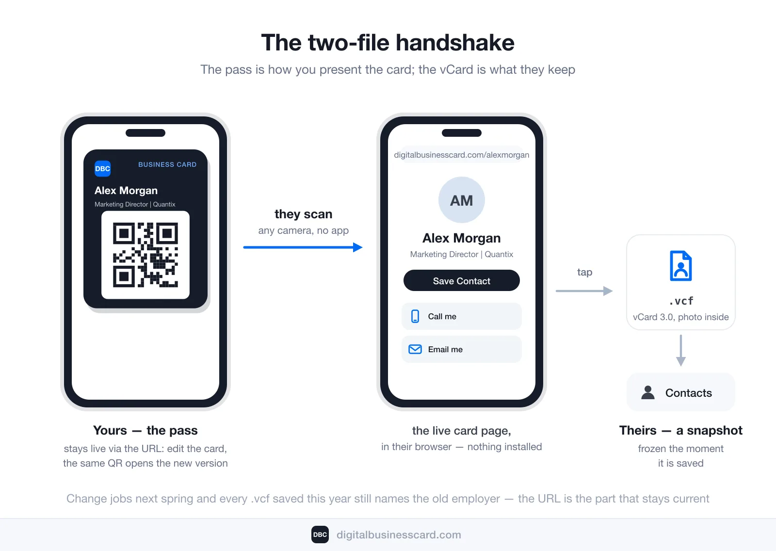 Diagram of the two-file handshake: on the left, the sharer’s iPhone raises a stylized Wallet pass whose QR code stays live via the URL — edit the card and the same QR opens the new version; the other person scans it with any camera and no app, their phone opens the live card page at digitalbusinesscard.com/alexmorgan in the browser with nothing installed, and tapping Save Contact writes a .vcf — a vCard 3.0 file, photo inside — into their Contacts: theirs, a snapshot frozen the moment it is saved